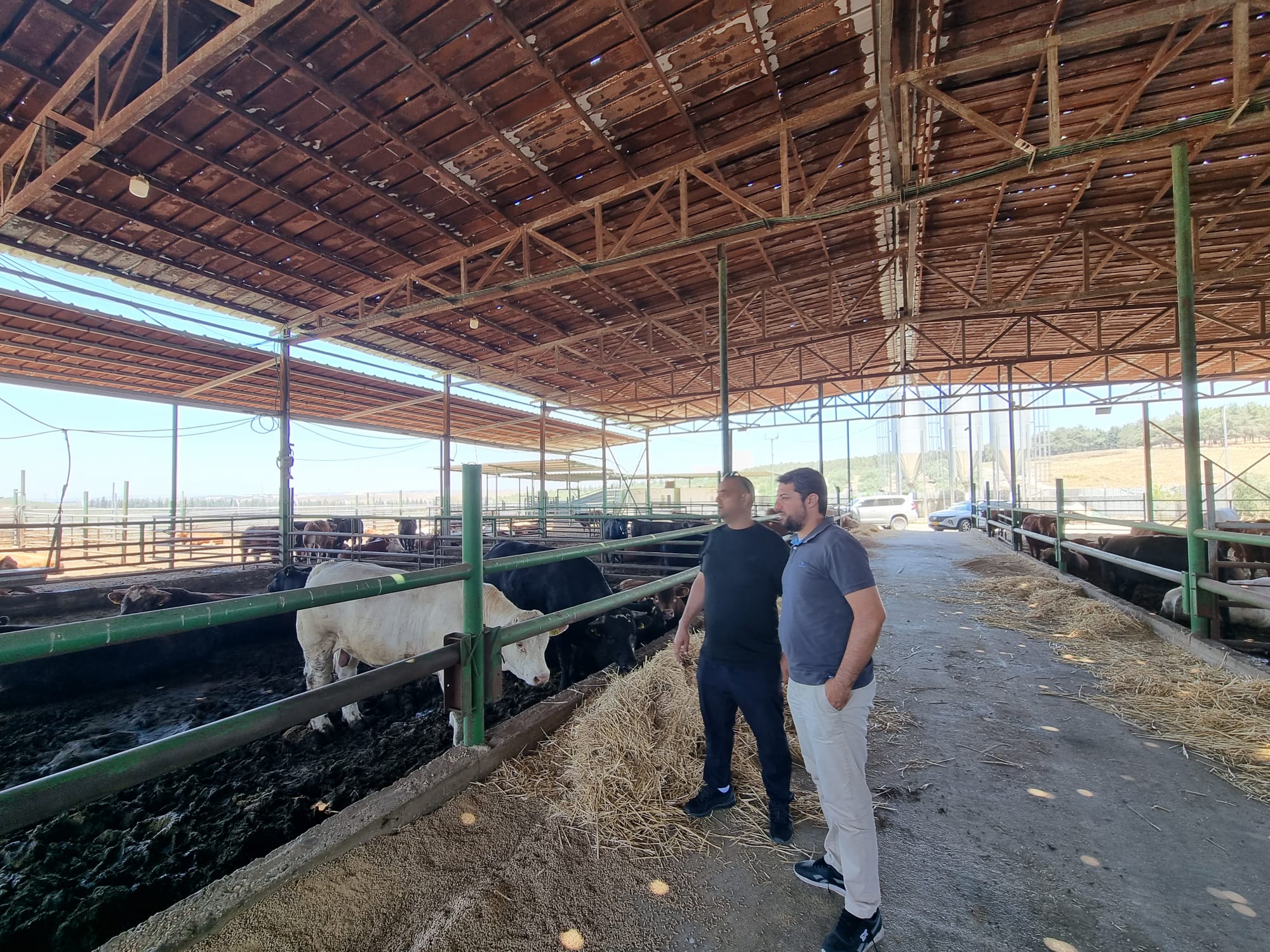 WhatsApp Image 2022-06-04 at 1.19.52 PM.jpeg